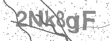 visual captcha
